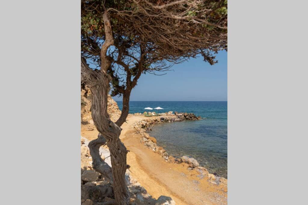 Ktima Sfakia Villa Kefalos  Exterior photo